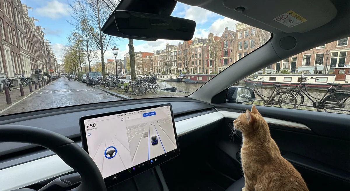 Holandia jako pierwsza zatwierdziła FSD Tesli w Europie. Rollout ruszył, ale kierowca musi zachować czujność.