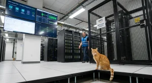 Modele OpenAI trafiają do Amazon Bedrock. Co oznacza ta zmiana dla firm