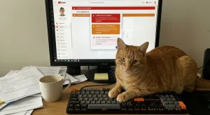 YouTube usunął 16 kanałów AI z 35 mln subskrybentów. Co to oznacza dla twórców